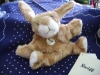  Steiff Hase 